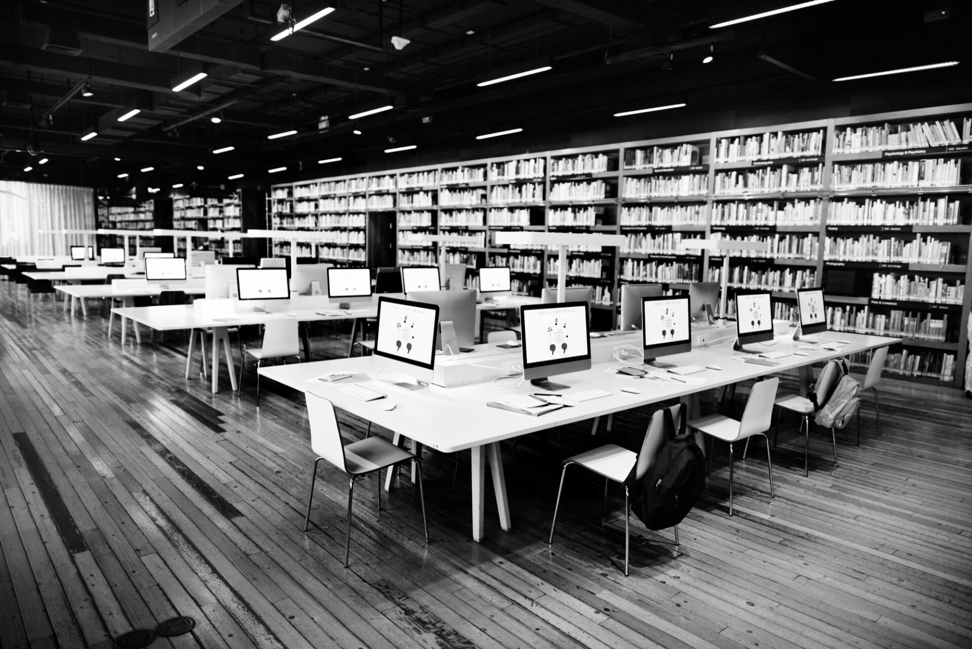 Digital publisher reviewing mobile analytics and reader engagement metrics